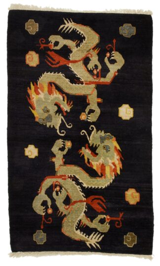 Tibetan Dragon 1